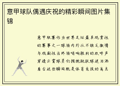 意甲球队偶遇庆祝的精彩瞬间图片集锦